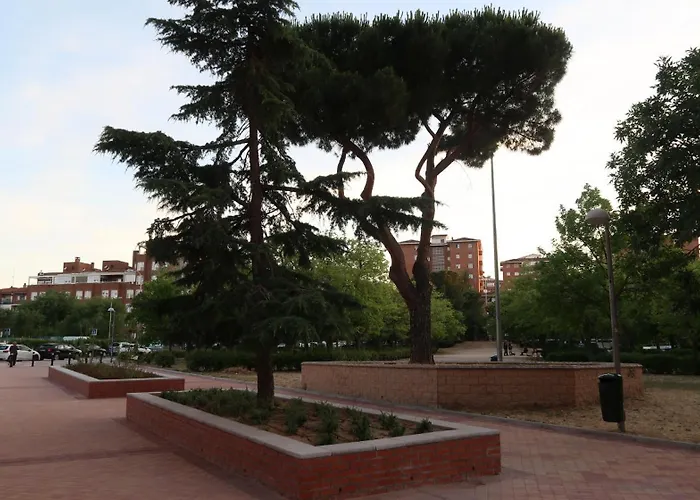Ama Madrid Metropolitano 11